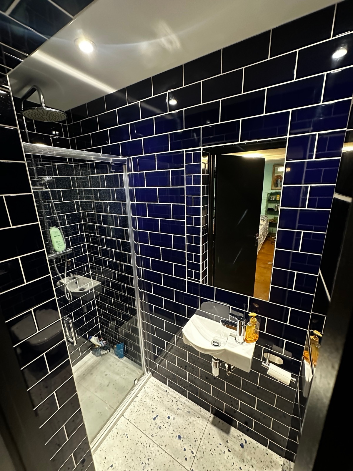 Bathroom renovation with contemporary finishes